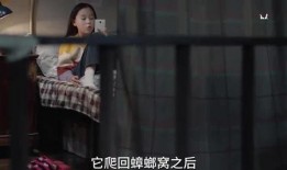 娃娃影视爆料视频,揭秘热门影视幕后故事